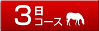 3���R�[�X