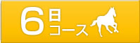 6���R�[�X