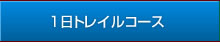 1���g���C���R�[�X